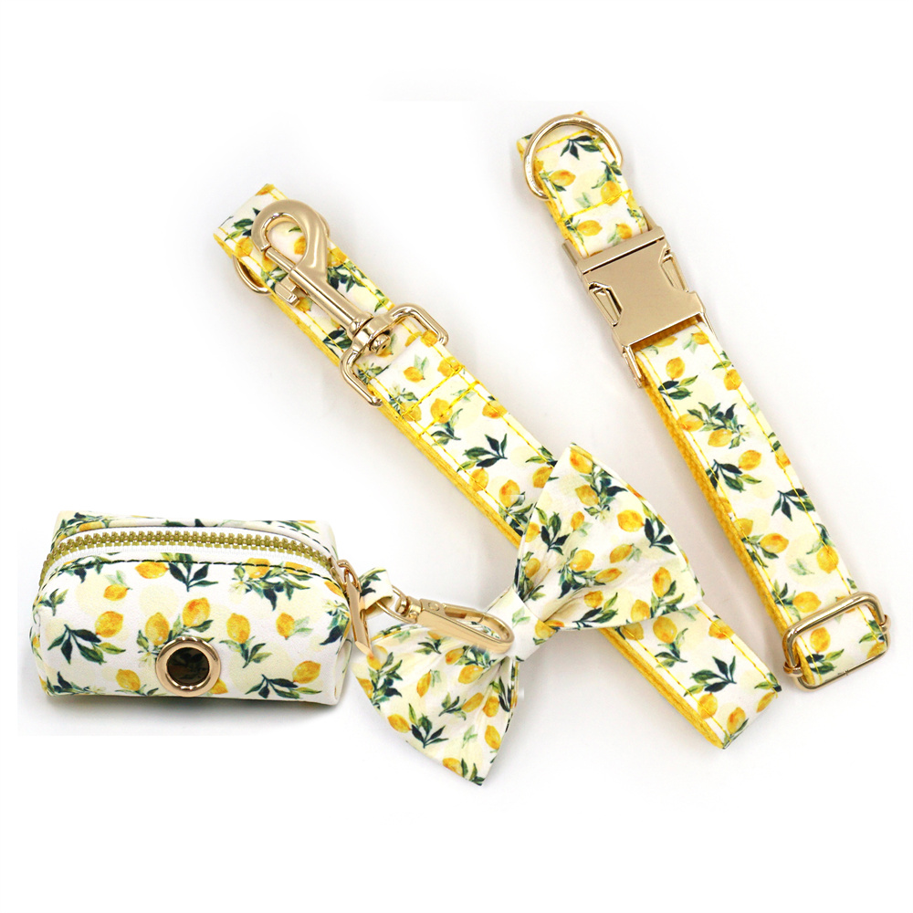 Personalized Pet Collar for Ca - Luxury Bags Medium Size avis et prix