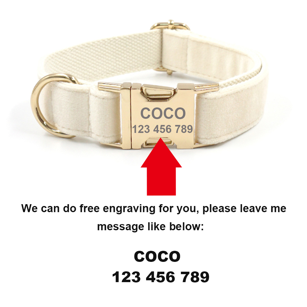 Personalized Pet Collar for Ca - Luxury Bags Medium Size avis et prix