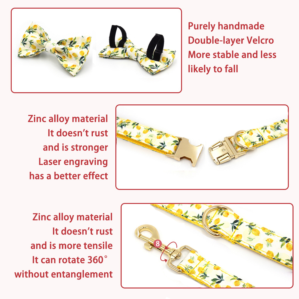 Personalized Pet Collar for Ca - Luxury Bags Medium Size avis et prix